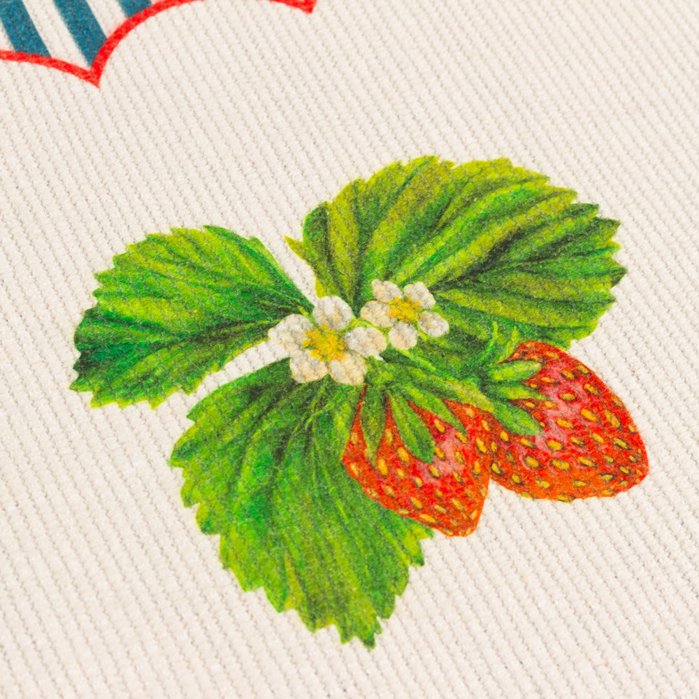 Striped Blue Kitchen - Strawberry Stripes Set of 4 Indoor/Outdoor Placemats Candy Cane Wylder