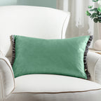 Plain Green Cushions - Tilly Velvet Cushion Cover Sage/Grey Wylder